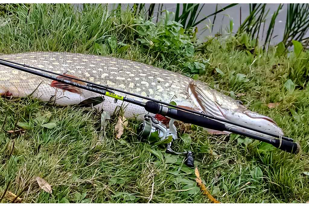 Apie tvičingą ir jiems tinkamus spiningus