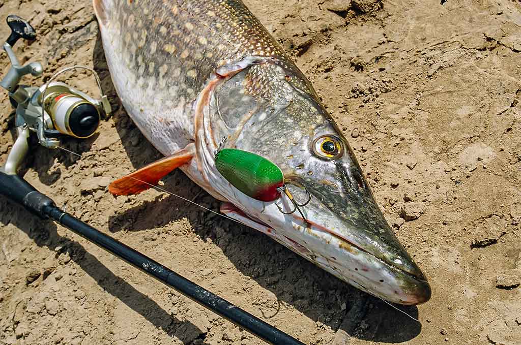 Jei vartiklę prilyginsime guminukui