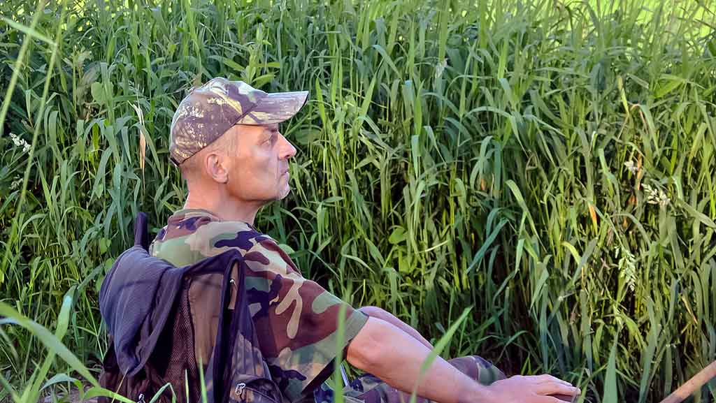 Ramiuose, žolėtuose vandenyse su dugnine Ramiuose, žolėtuose vandenyse su dugnine