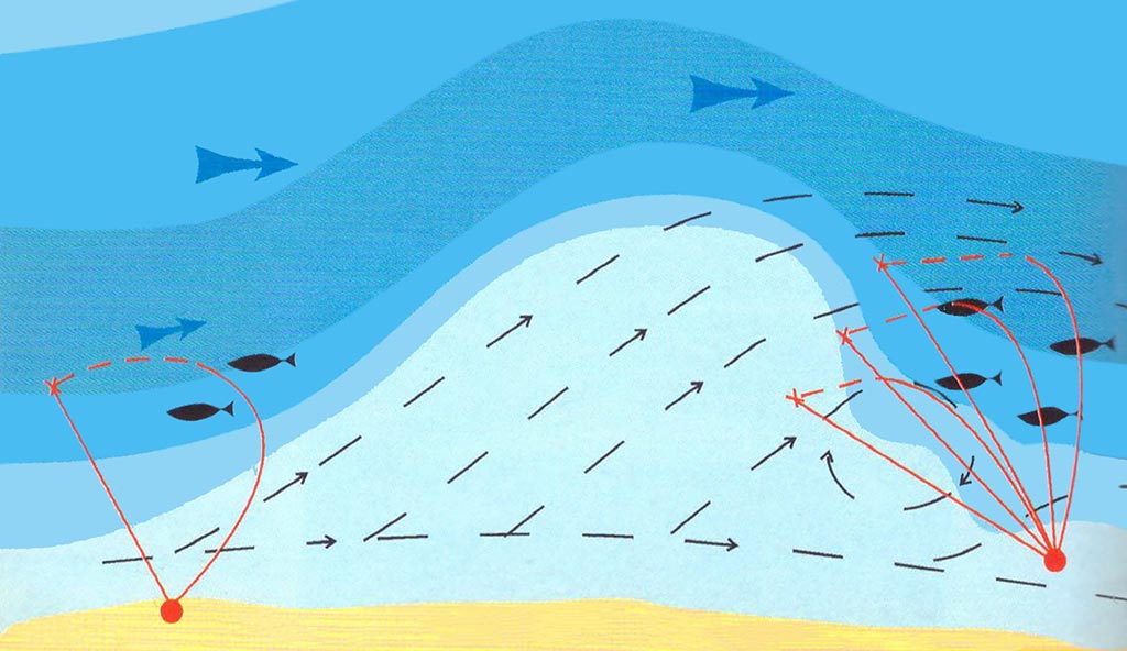 Šapalo šypsena. Pirma dalis Šapalo šypsena. Pirma dalis