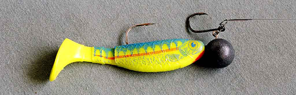 4 pav. Silikoninis masalas Salmo