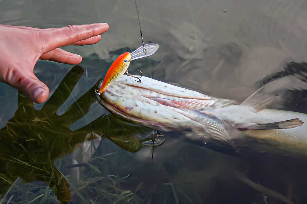 Ar sunku išmokti spiningauti? Antra dalis Ar sunku išmokti spiningauti? Antra dalis