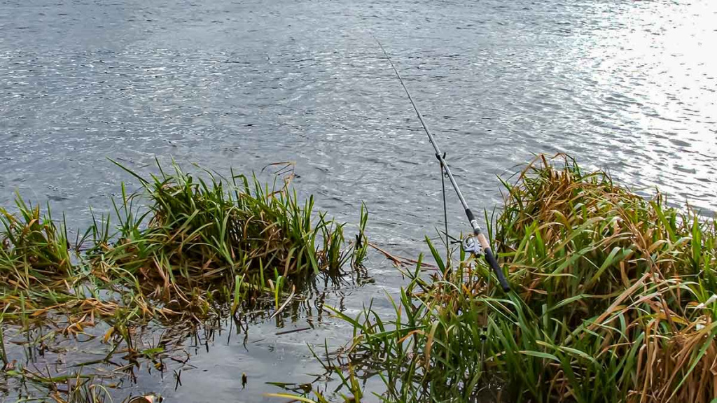 Dambologija. Ketvirta dalis Dambologija. Ketvirta dalis