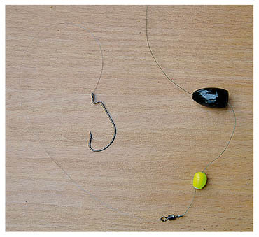 Carolina rig Carolina rig