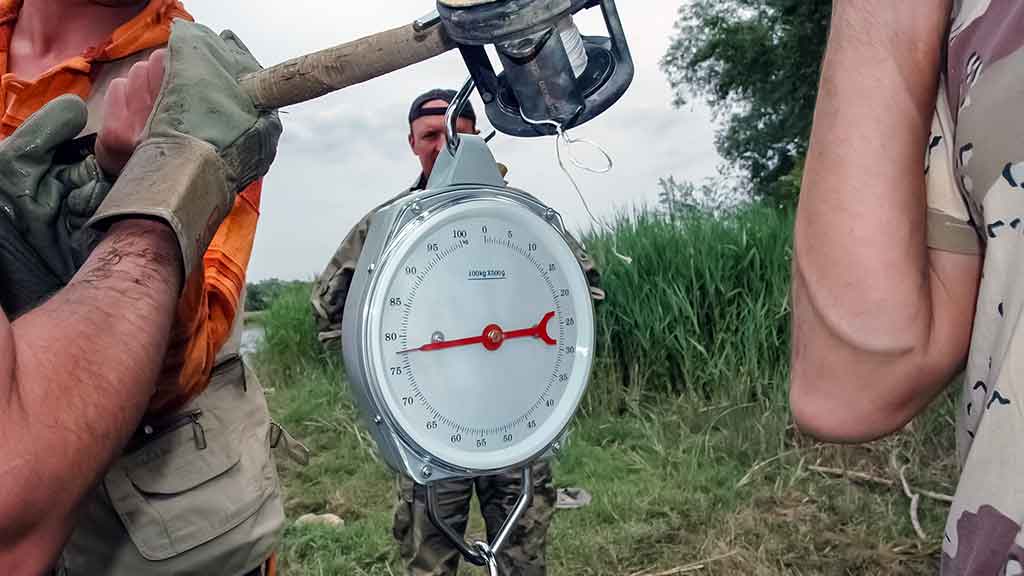 Šamai prie Kaku-kaku salos. Kaip pagauti Ilgauską Šamai prie Kaku-kaku salos. Kaip pagauti Ilgauską