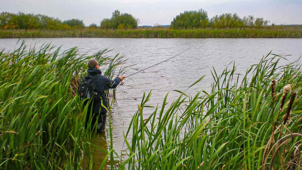 Švyst! Ir nuskrido... Trečia dalis Švyst! Ir nuskrido... Trečia dalis