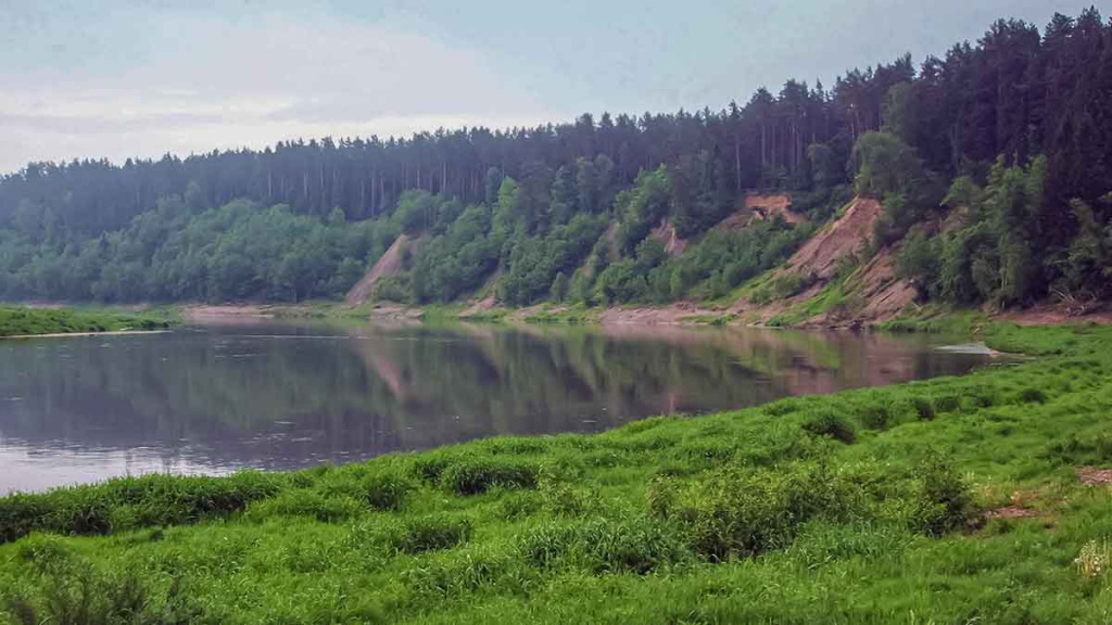 Ar salatis – konservatyvi žuvis? Antra dalis Ar salatis – konservatyvi žuvis? Antra dalis