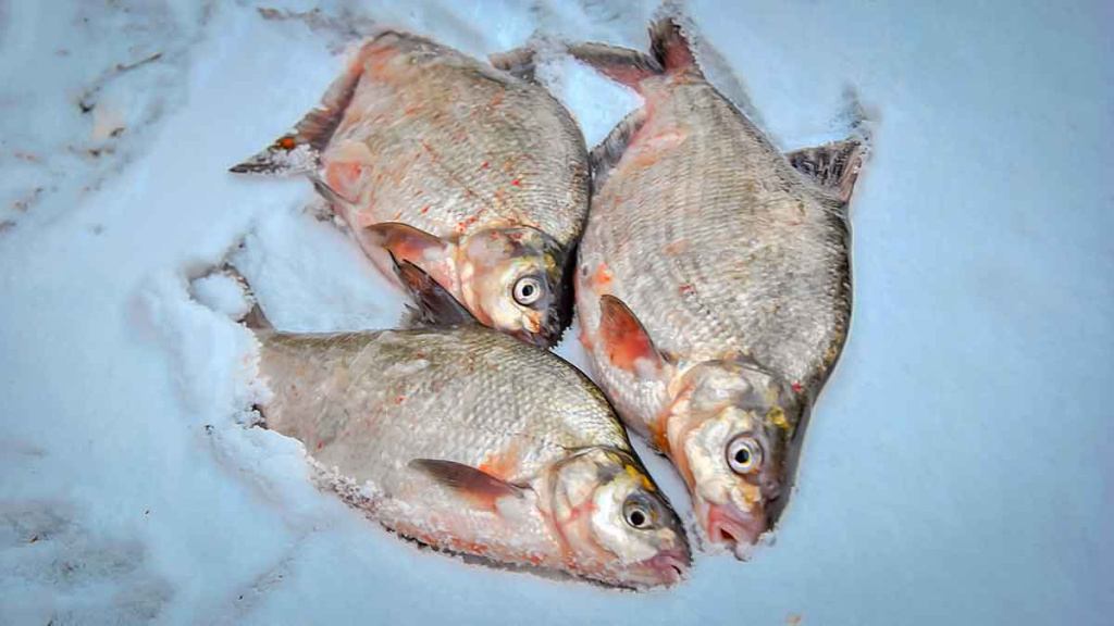 Sidabrinis blyksnis po pirmu ledu. Antra dalis