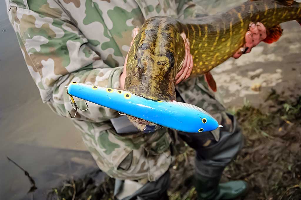 Ta gerai pažįstama mįslinga lydeka. Pirma dalis Ta gerai pažįstama mįslinga lydeka. Pirma dalis