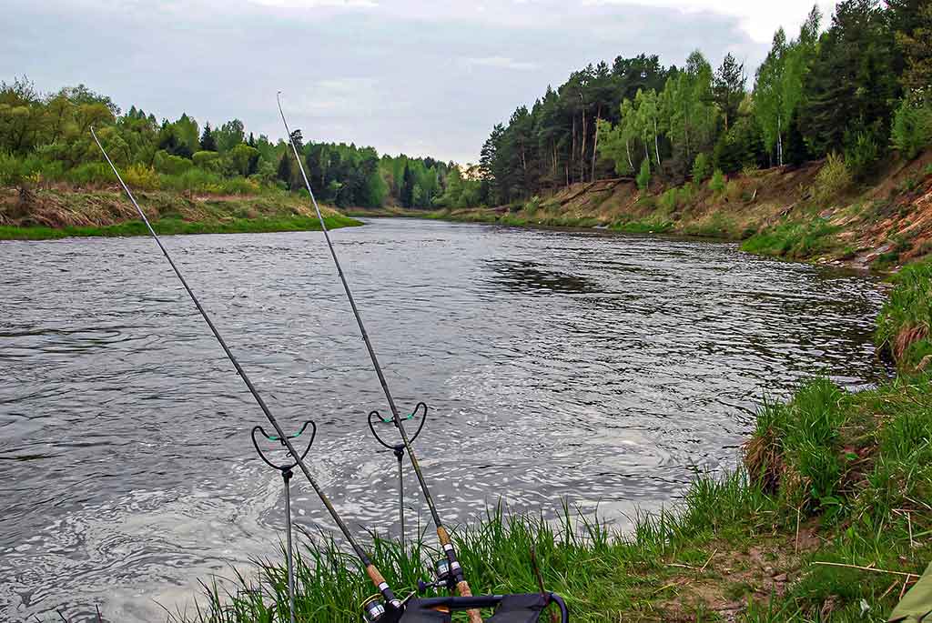 Dugninė. Karklo šaka ar specialus stovelis? Pirma dalis