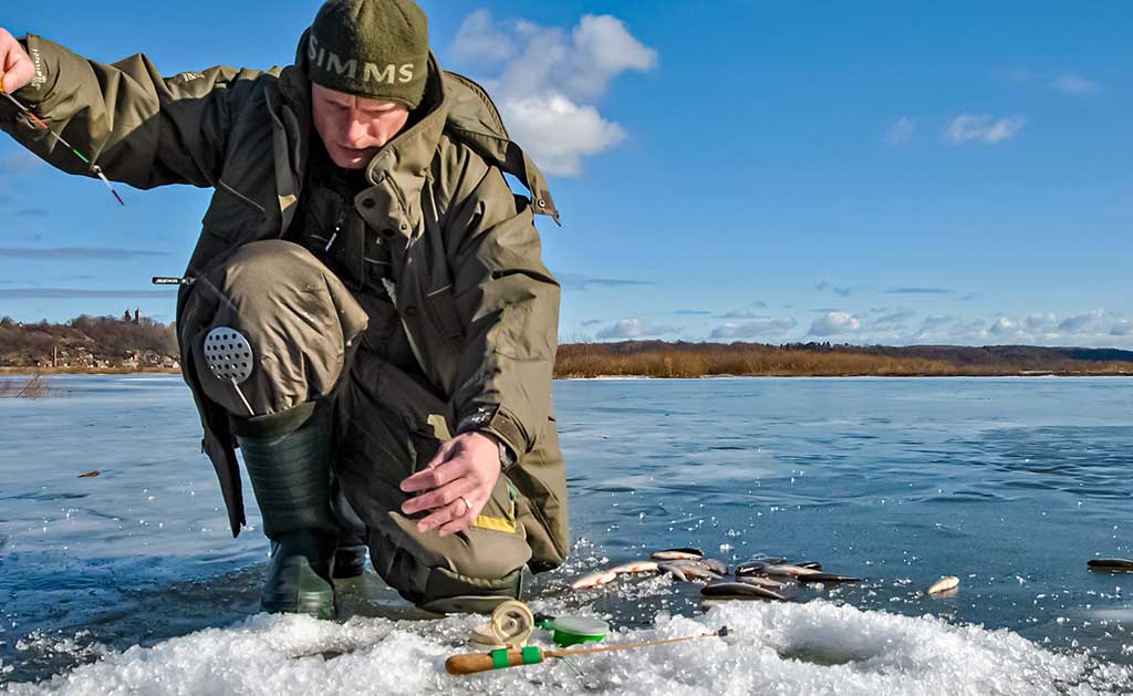 Bemasalinė avižėlė – mitai ir tikrovė Bemasalinė avižėlė – mitai ir tikrovė