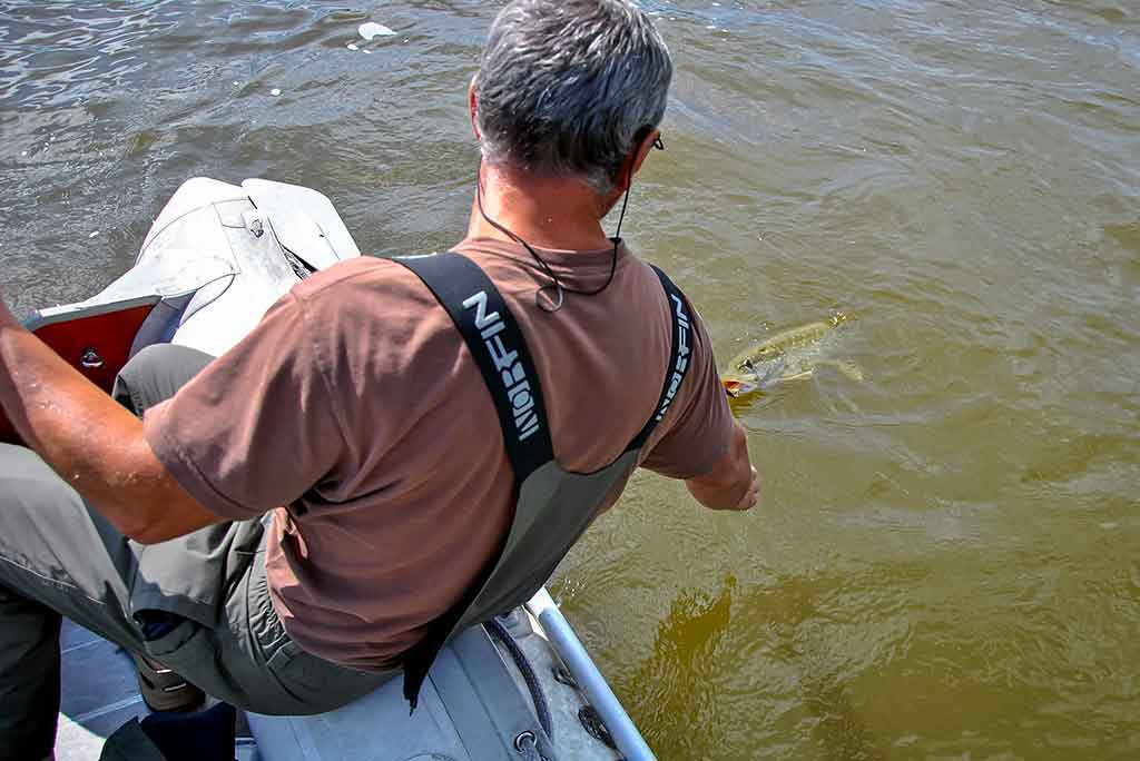 Trys labai panašūs