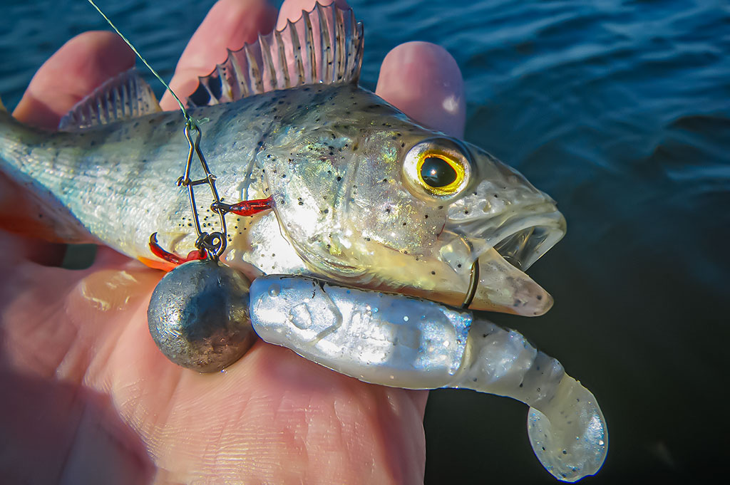 Iki užšąlant Kauno marioms