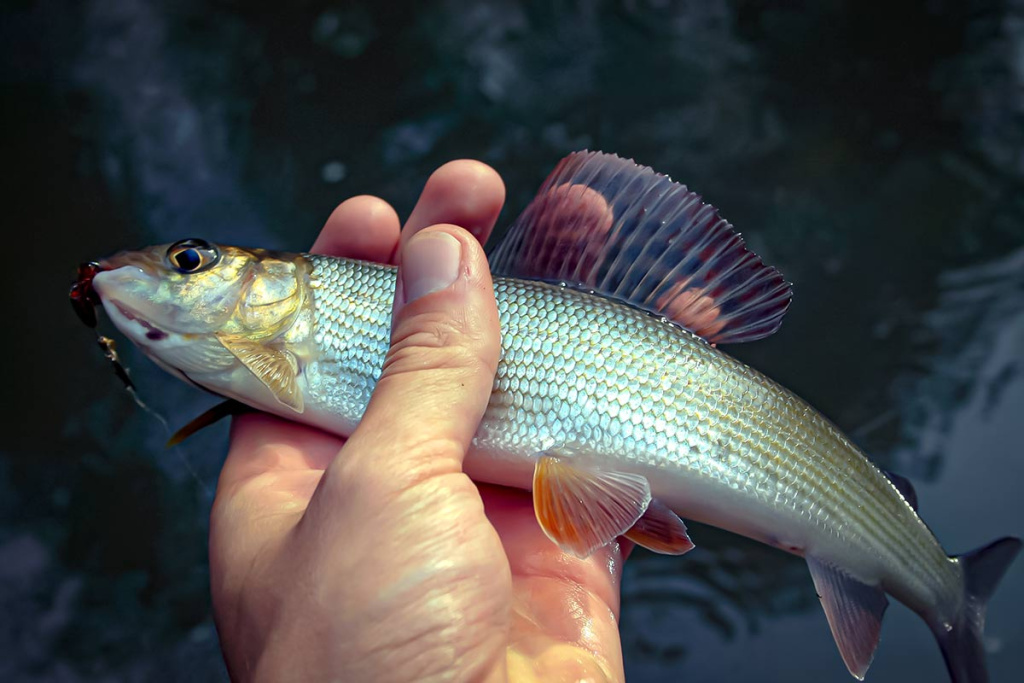 Pirmųjų snaigių burtai