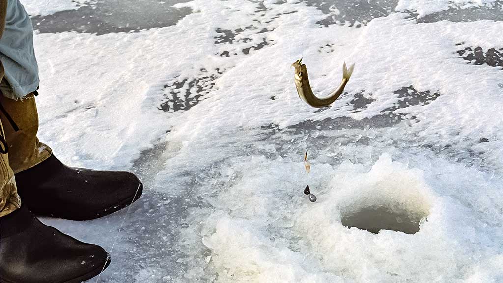Kuršmarėse kimba ne vien stintos. Pirma dalis