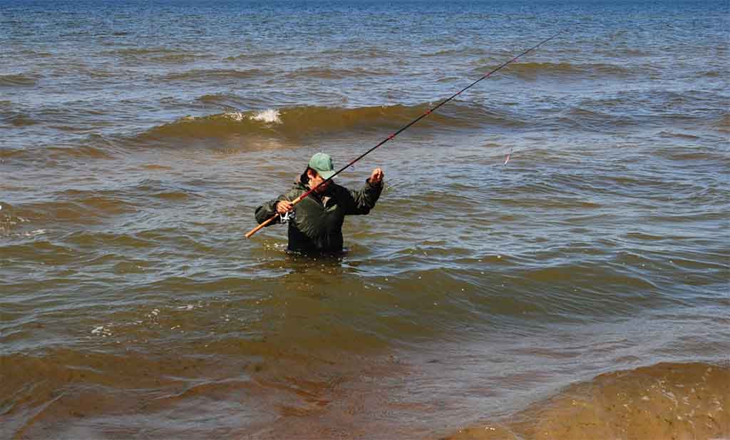 Vėjo žuvies gaudymas. Antra dalis