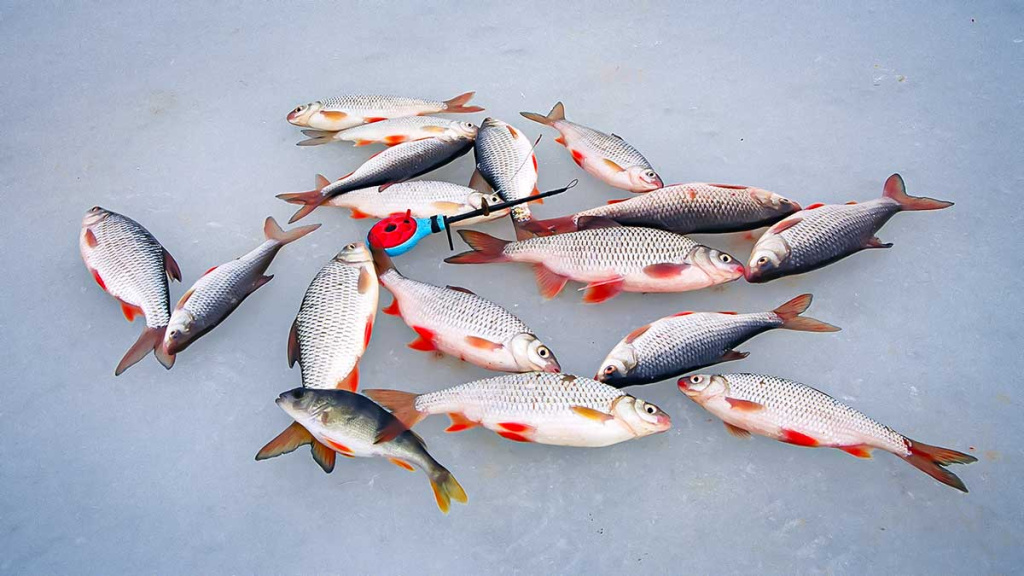 Sidabražvynių kaprizai