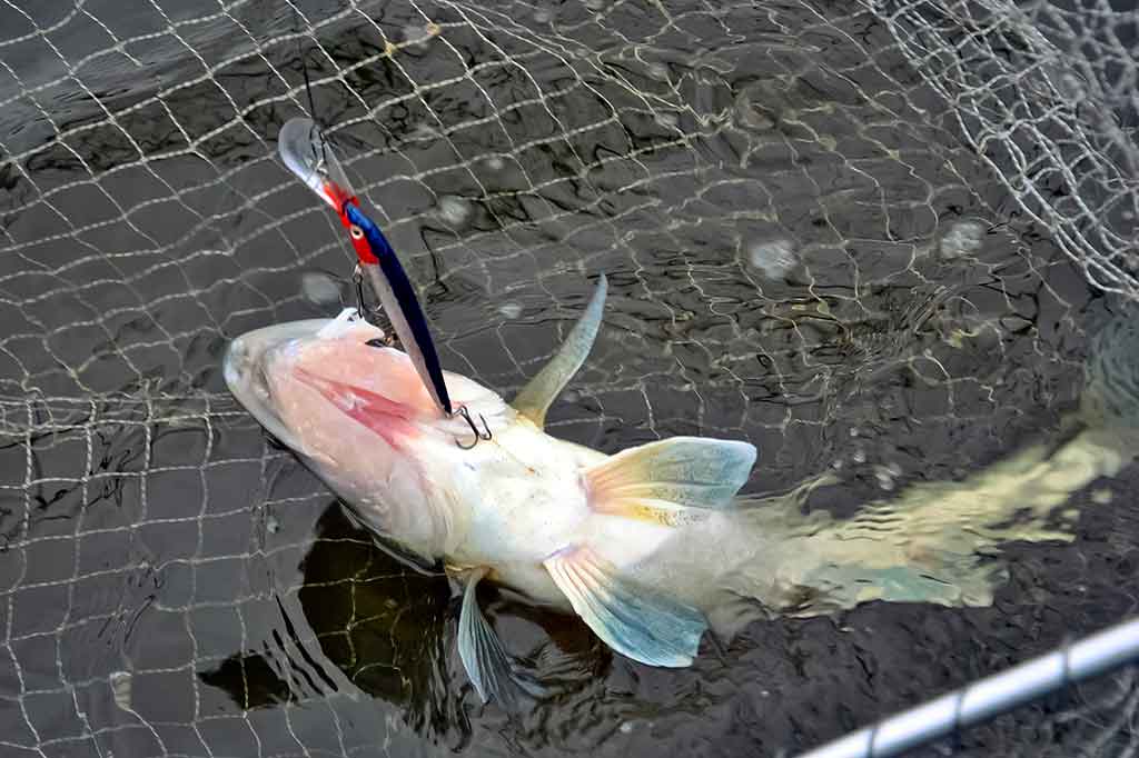 Velkiavimas ignoruojant velkiavimo principus