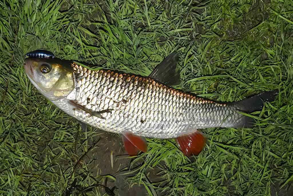 Neįprasta vasara. Antra dalis