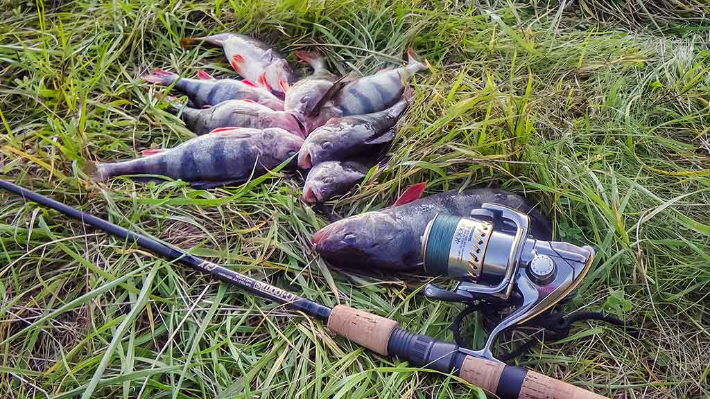 Silikoninis tvičingas Silikoninis tvičingas