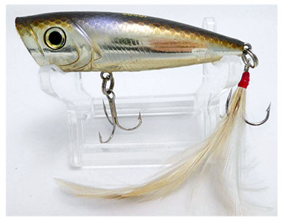 Poperiai – geri, bet mažai naudojami masalai