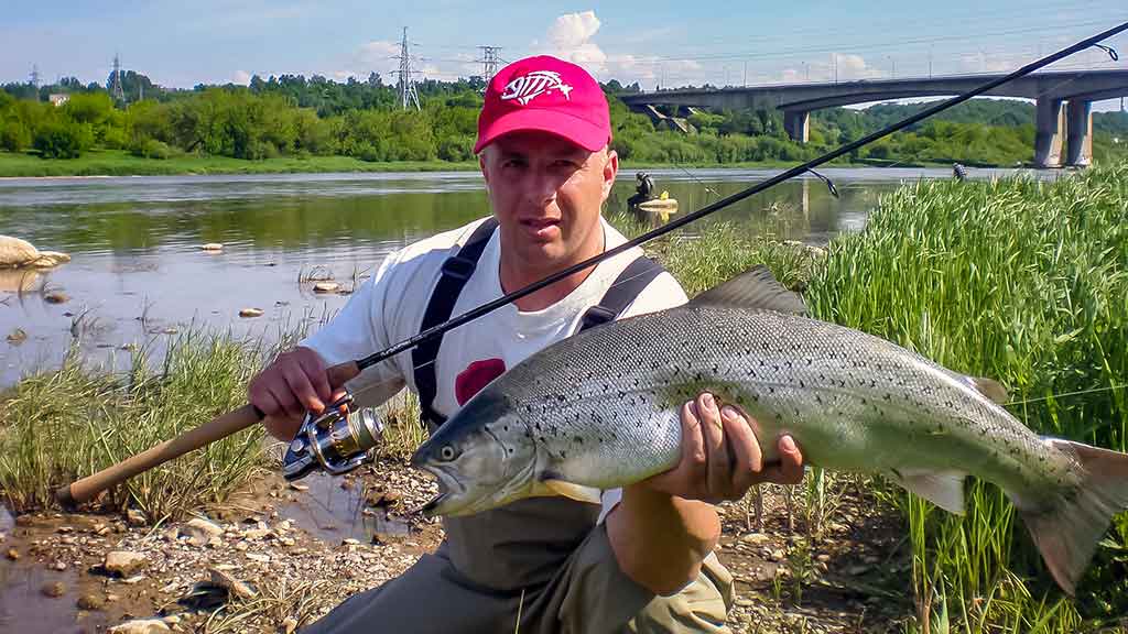 Kur, kaip ir kuo gaudome lašišas bei šlakius. II dalis Kur, kaip ir kuo gaudome lašišas bei šlakius. II dalis
