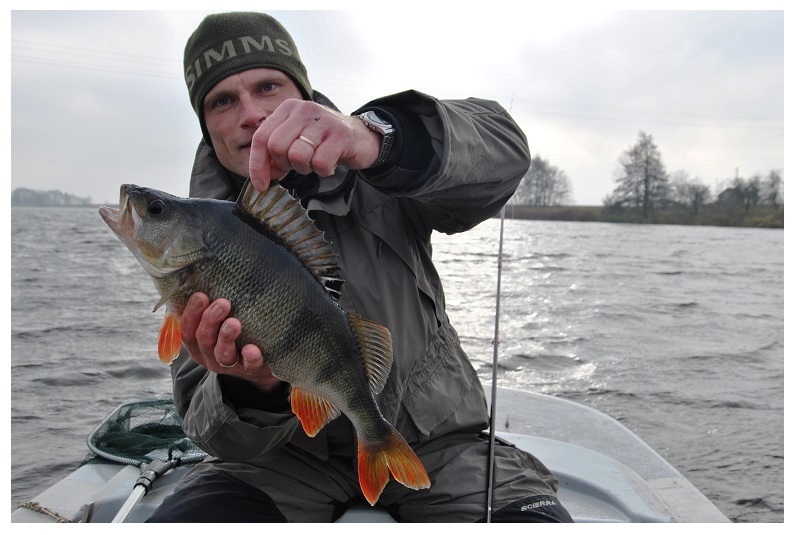 Mažytė paslaptis – atsitiktinis stambus ešerys ežere arba tvenkinyje mieliau kibs ant didelio guminuko, nei ant didelio voblerio