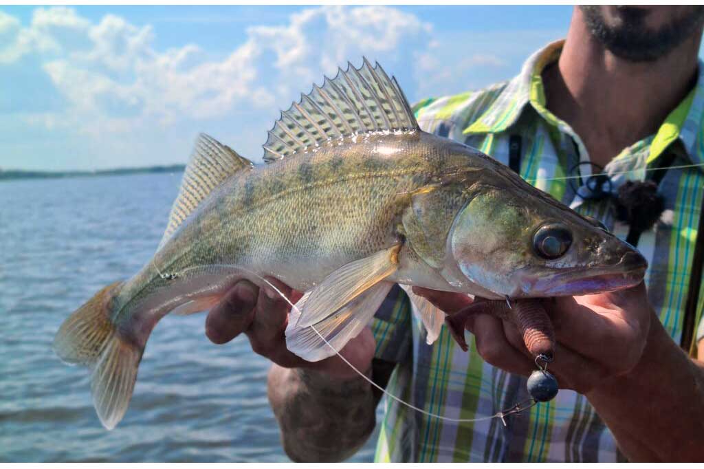Lucky John Joco Shaker