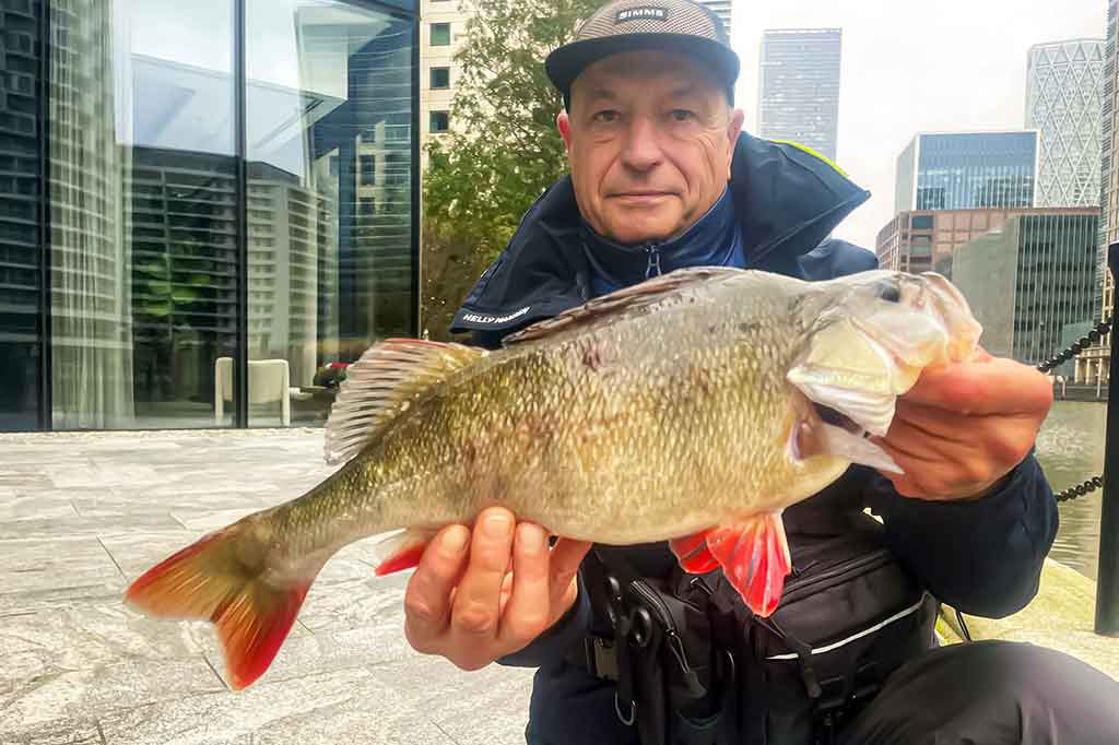 Kaip pagauti lydeką? Kaip pagauti lydeką?