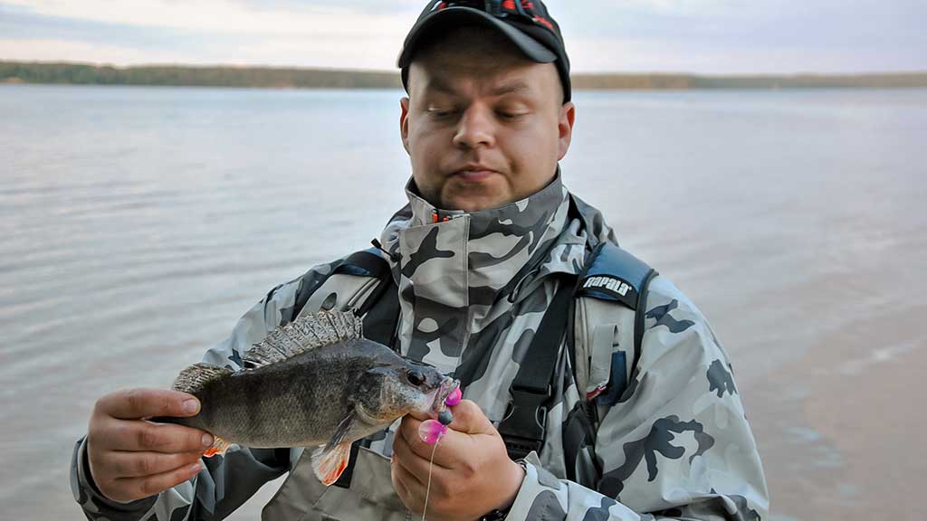 Kaip spiningauti šiekštynuose