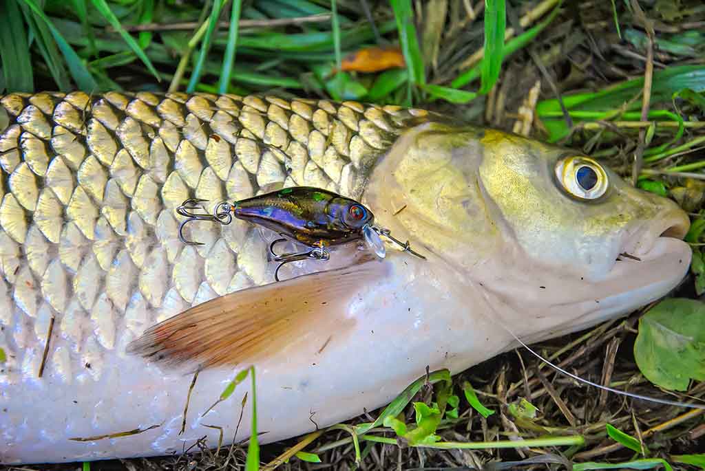 Neįprasta vasara. Pirma dalis Neįprasta vasara. Pirma dalis