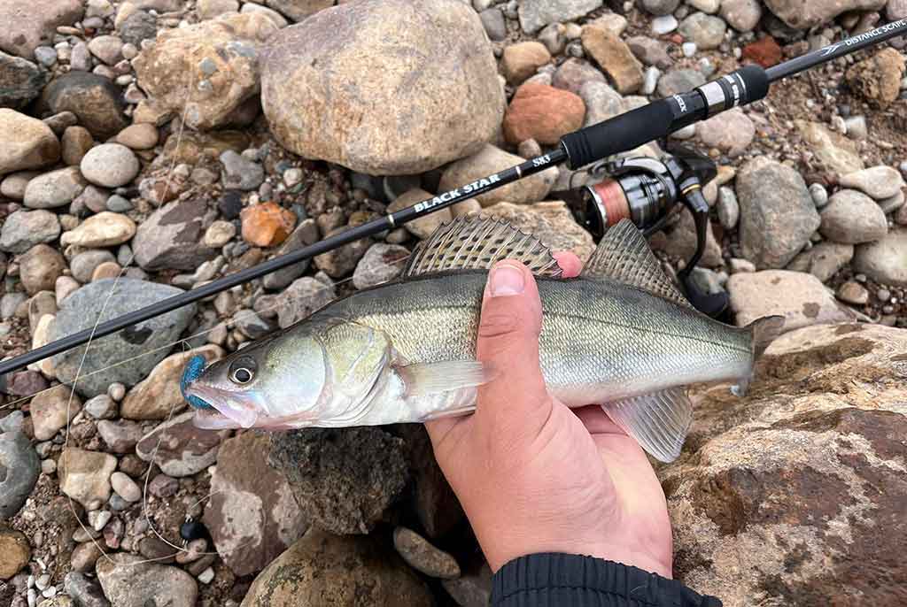 Kuomet sterkai pakyla. Antra dalis