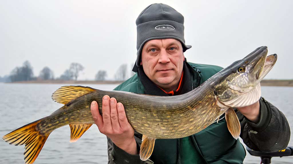 Kaip „reanimuoti“ guminukus Kaip „reanimuoti“ guminukus