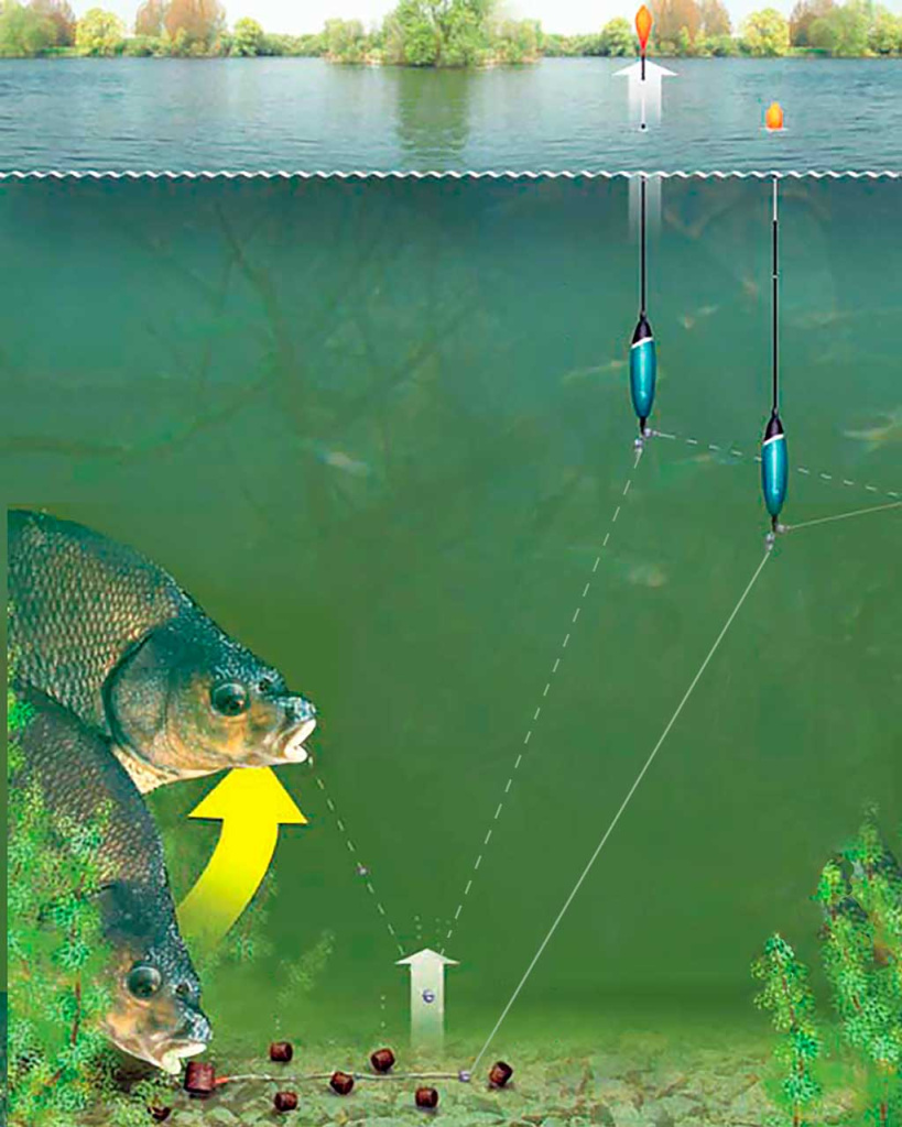 Apie vėją, nuskandintą valą ir karšiams skirtą waggler Apie vėją, nuskandintą valą ir karšiams skirtą waggler