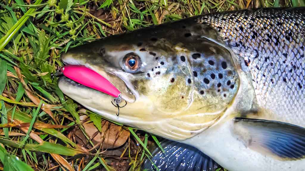 Pirmo aukšto sindromas Pirmo aukšto sindromas