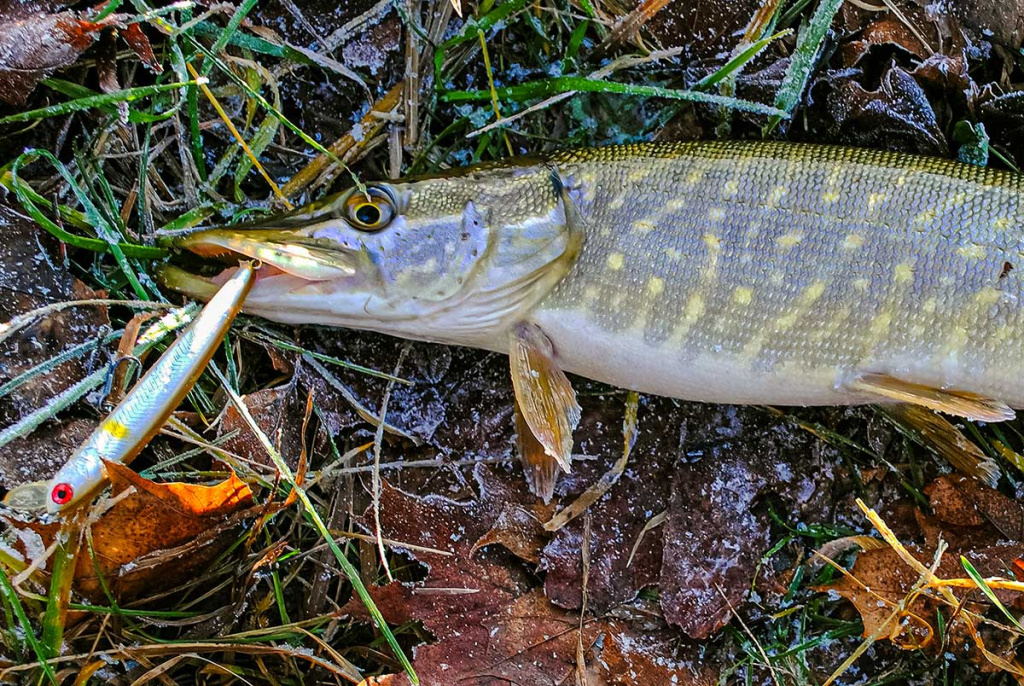 Iš paviršiaus į gilumą. Antra dalis Iš paviršiaus į gilumą. Antra dalis