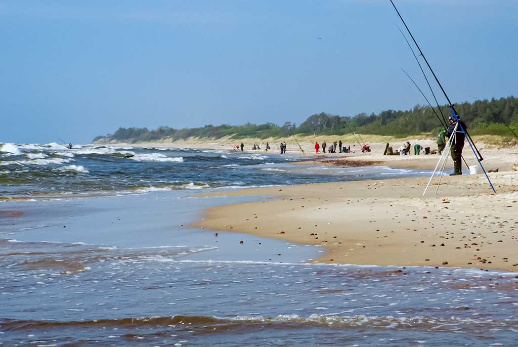 Kaip pagauti Baltijos plekšnę. Kada geriausiai žvejoti jūroje Kaip pagauti Baltijos plekšnę. Kada geriausiai žvejoti jūroje