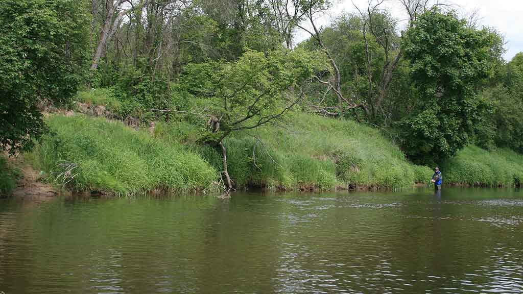 Paslaptingi Dubysos vingiai. Su spiningu – dar įdomiau