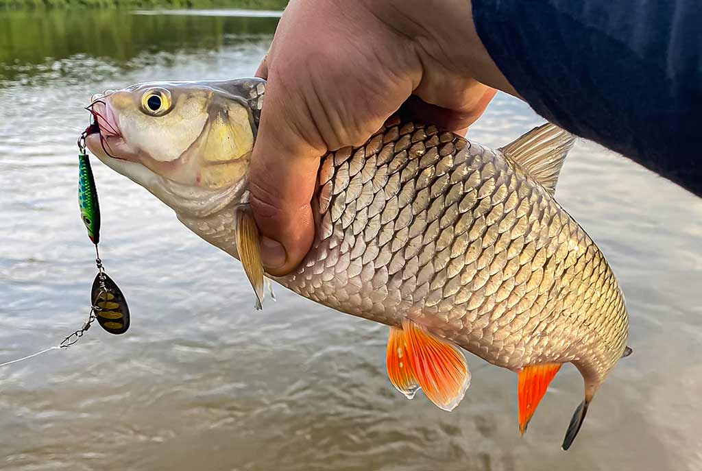 Kaip sukriukę nusviesti iki kito kranto. Antra dalis Kaip sukriukę nusviesti iki kito kranto. Antra dalis