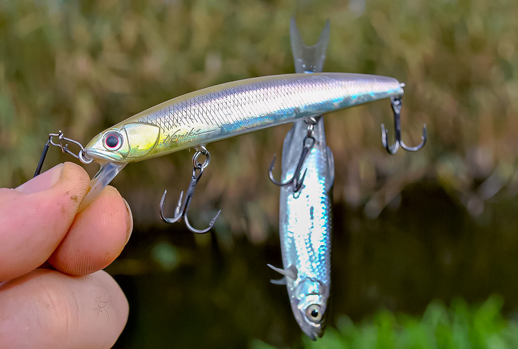 Pakibęs vandens storymėje. Pirma dalis 