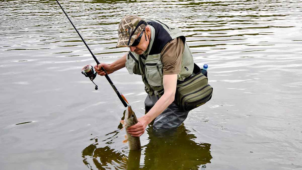 Palydekaukim... Pirma dalis Palydekaukim... Pirma dalis
