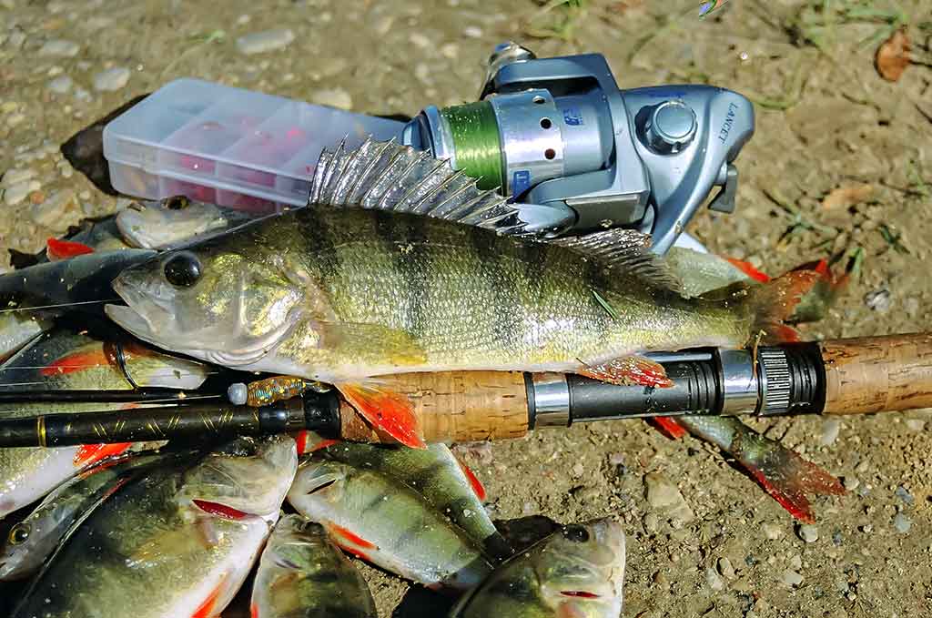 Jaukinimas spiningaujant. Pirma dalis Jaukinimas spiningaujant. Pirma dalis