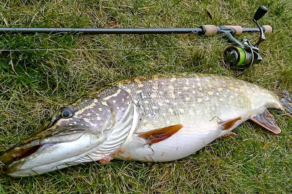 Klasika tapęs metalo gabalėlis. Pirma dalis Klasika tapęs metalo gabalėlis. Pirma dalis