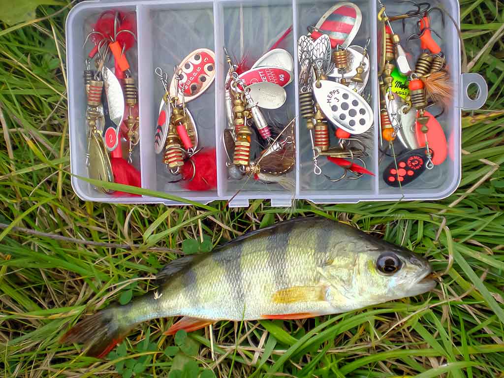 Nepailstanti žuvų viliotoja. 1 dalis