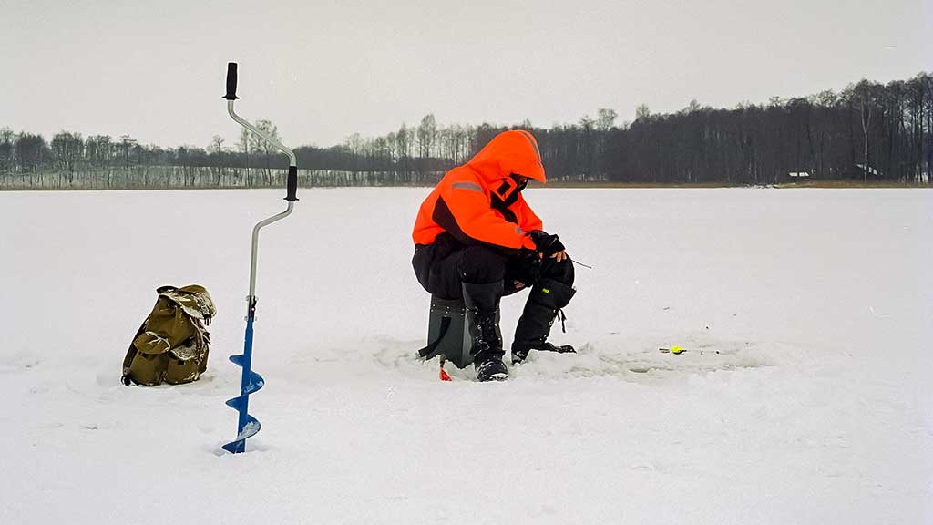 Šiek tiek kitaip apie karšių jaukinimą