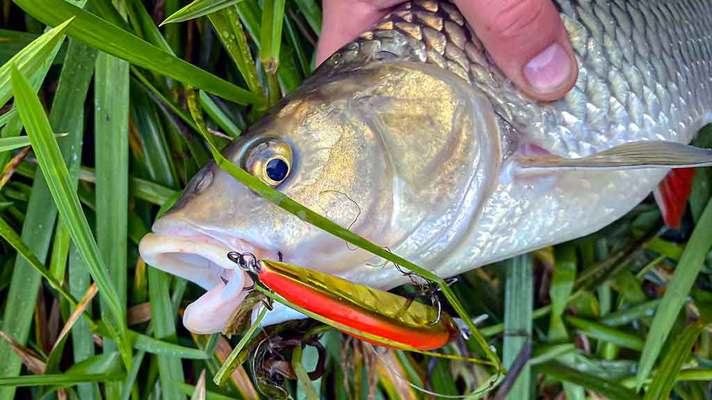 Vobleriniai niuansai