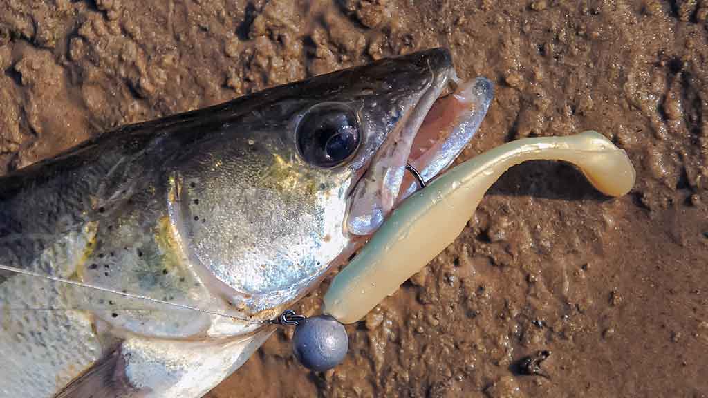 Kuomet sterkai pakyla. Trečia dalis