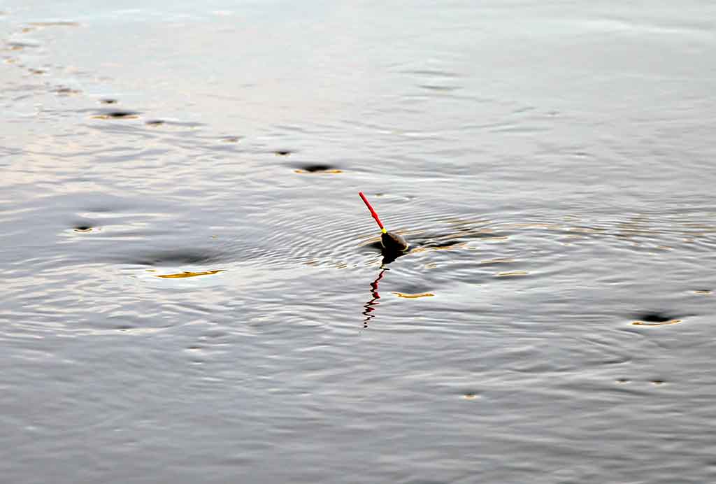 Didelė mažų svarelių reikšmė. Pirma dalis