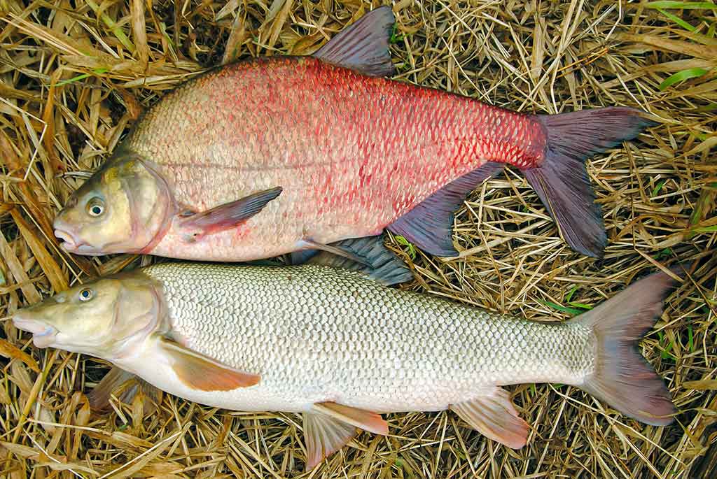 Meškeriojimas plūdine, kur gilu ir sraunu. Pirma dalis