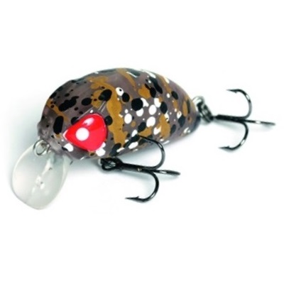 Haira_Tiny_Shallow_Pilot